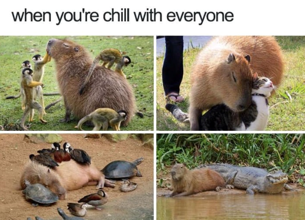 when you're chill with everyone