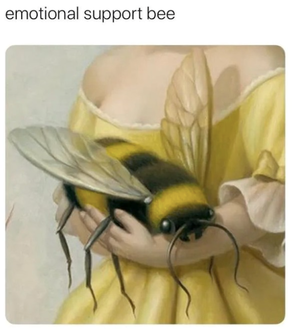 emotional support bee
