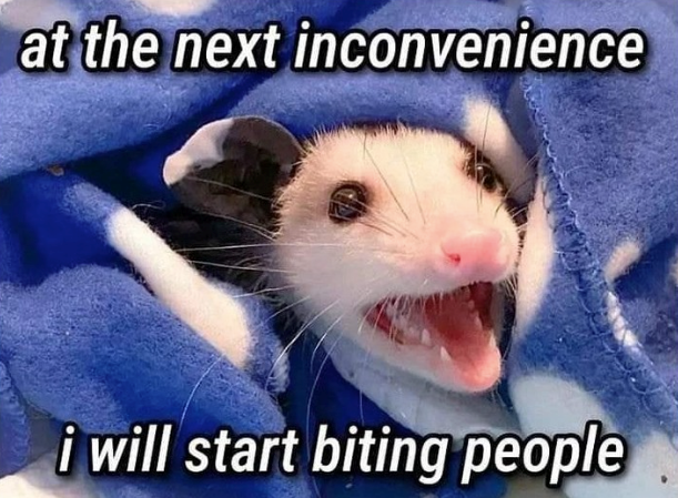 at the next inconvenience i will start biting people