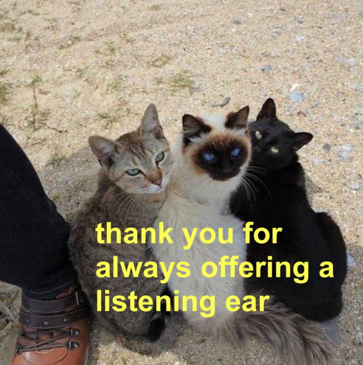thank you for always offering a listening ear