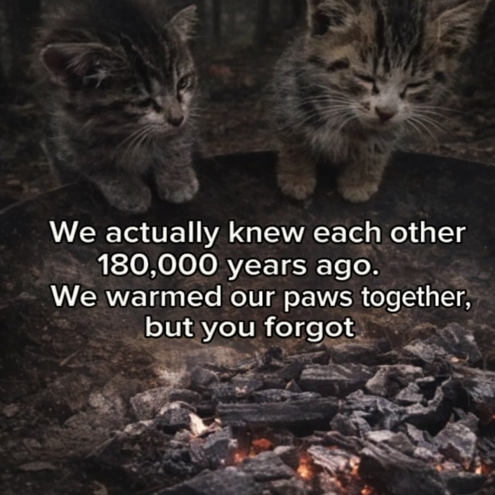 We actually knew each other 180,000 years ago. We warmed our paws together, but you forgot