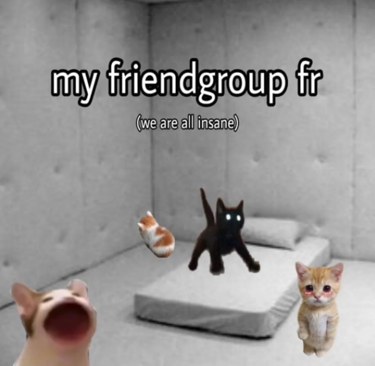 my friendgroup fr (we are all insane)