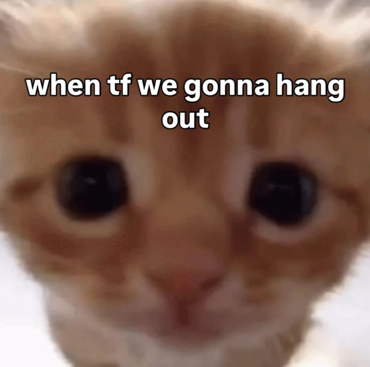when tf we gonna hang out