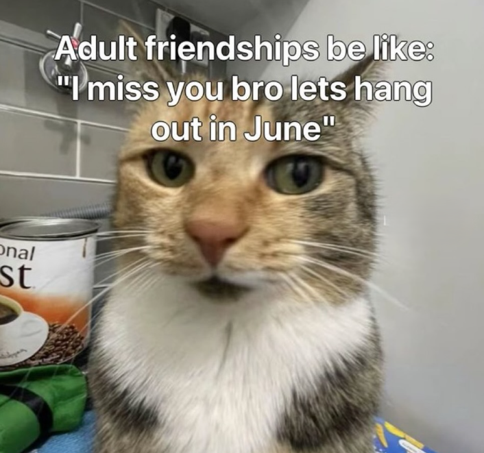 onal st Adult friendships be like: "I miss you bro lets hang out in June"