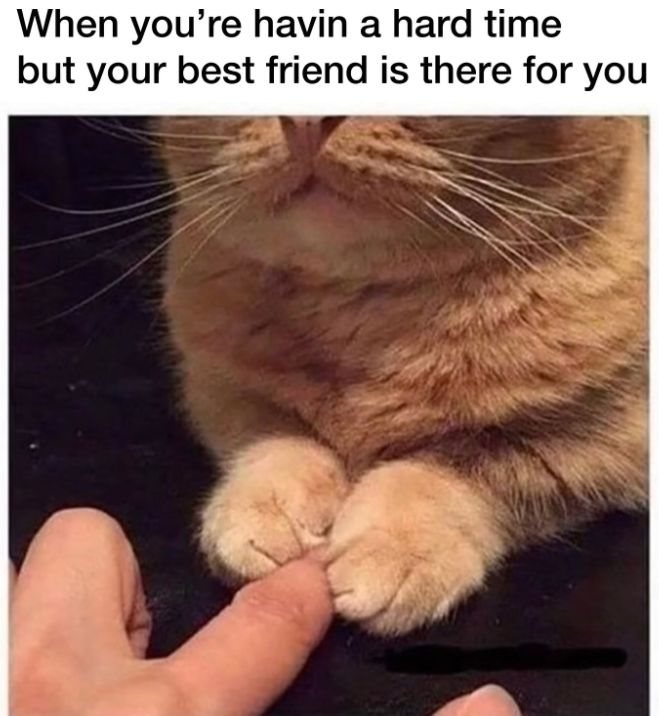 When you're havin a hard time but your best friend is there for you