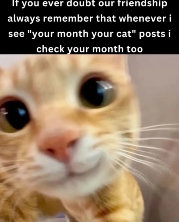 If you ever doubt our friendship always remember that whenever i see "your month your cat" posts i check your month too