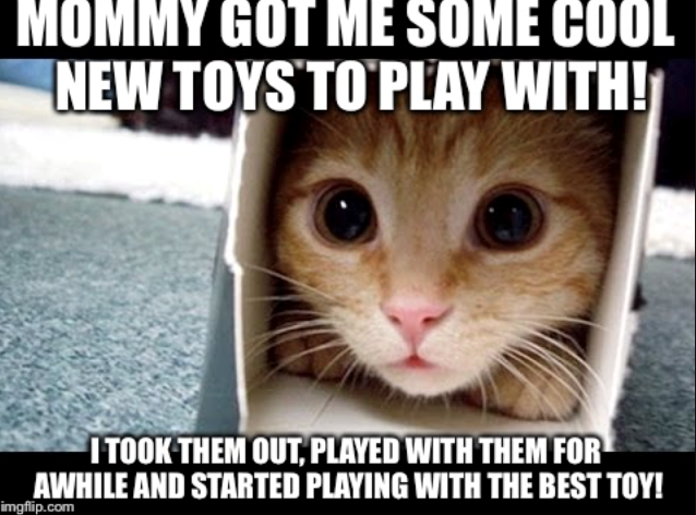 MOMMY GOT ME SOME COOL NEW TOYS TO PLAY WITH! I TOOK THEM OUT, PLAYED WITH THEM FOR AWHILE AND STARTED PLAYING WITH THE BEST TOY! imgflip.com
