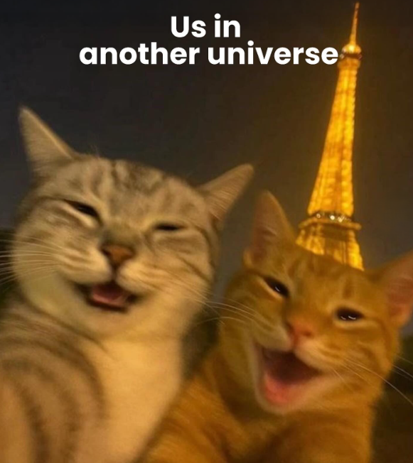 Us in another universe