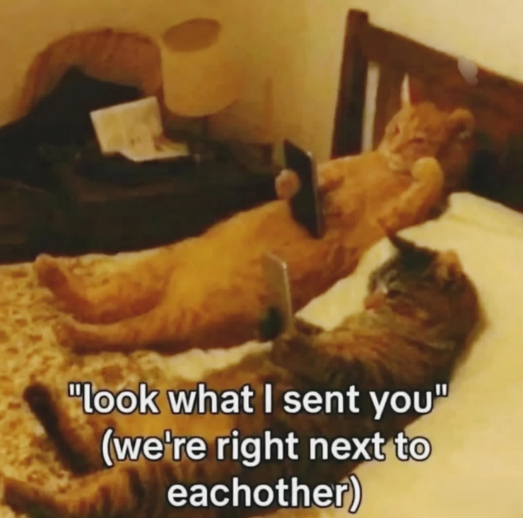 "look what I sent you" (we're right next to eachother)