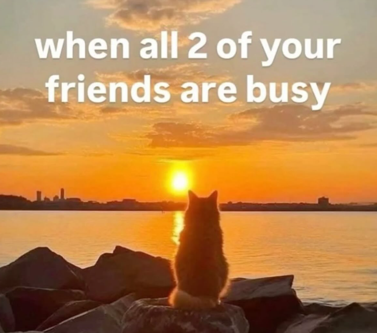 when all 2 of your friends are busy