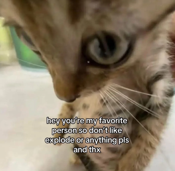 hey you're my favorite person so don't like explode or anything pls and thx