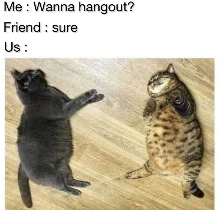 Me Wanna hangout? Friend: sure Us: