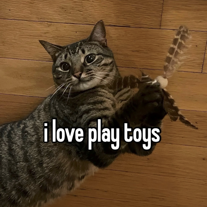 i love play toys