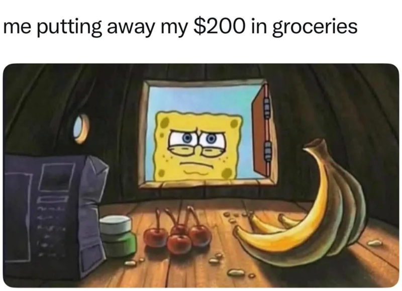 me putting away my $200 in groceries