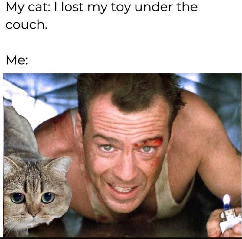 My cat: I lost my toy under the couch. Me: