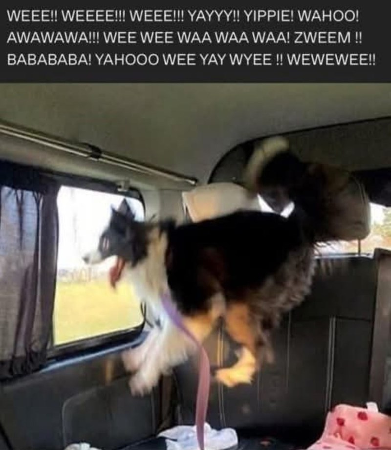 WEEE!! WEEEE!!! WEEE!!! YAYYY!! YIPPIE! WAHOO! AWAWAWA!!! WEE WEE WAA WAA WAA! ZWEEM !! BABABABA! YAHOOO WEE YAY WYEE!! WEWEWEE!!