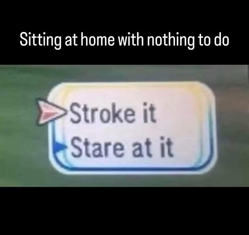 Sitting at home with nothing to do Stroke it Stare at it