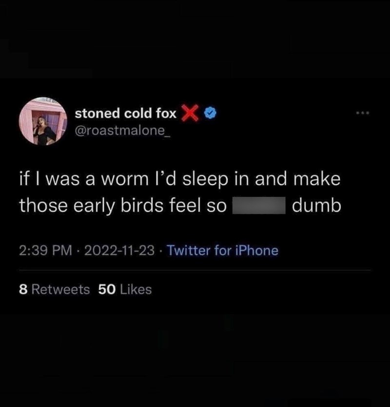 stoned cold fox @roastmalone if I was a worm I'd sleep in and make those early birds feel so 2:39 PM 2022-11-23 Twitter for iPhone 8 Retweets 50 Likes dumb 868