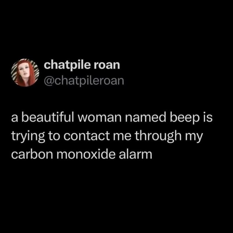 chatpile roan @chatpileroan a beautiful woman named beep is trying to contact me through my carbon monoxide alarm