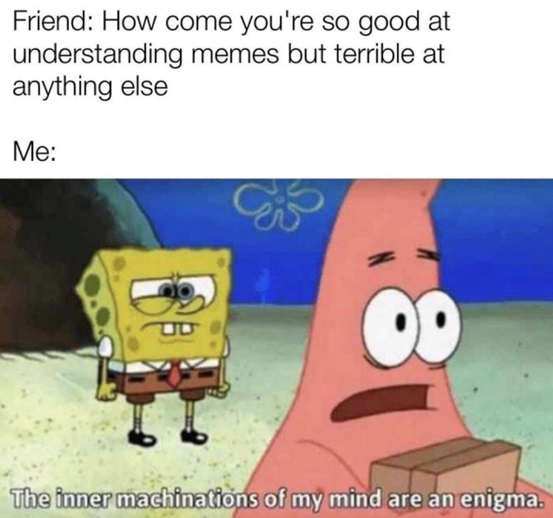 Friend: How come you're so good at understanding memes but terrible at anything else Me: The inner machinations of my mind are an enigma.