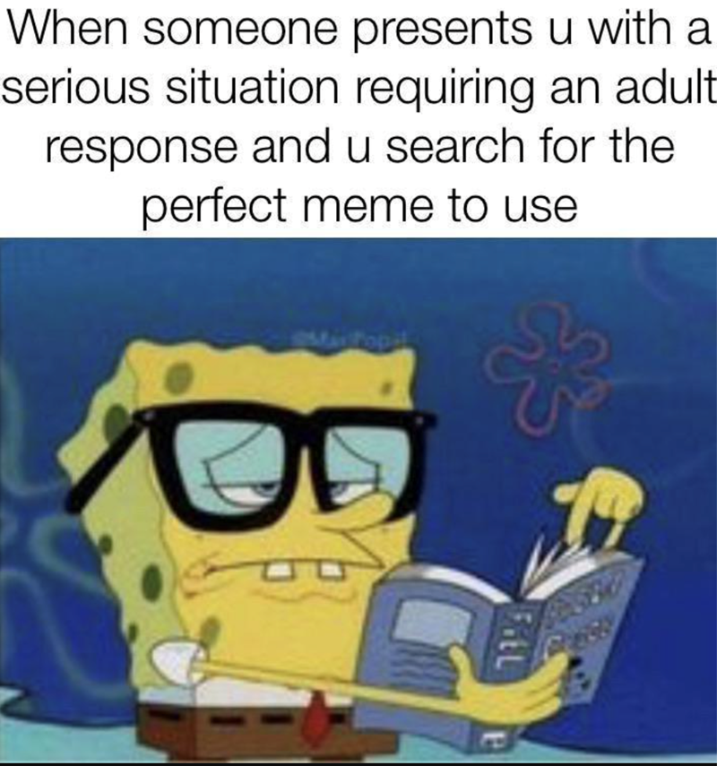 When someone presents u with a serious situation requiring an adult response and u search for the perfect meme to use MaxPopil EL