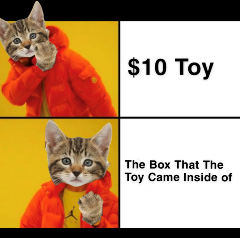 $10 Toy The Box That The Toy Came Inside of