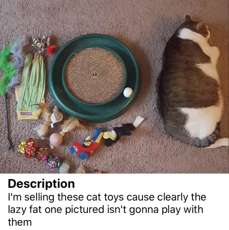 Description I'm selling these cat toys cause clearly the lazy fat one pictured isn't gonna play with them