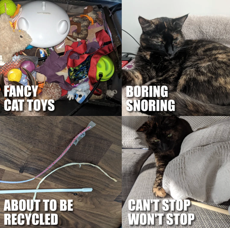 FANCY CAT TOYS BORING SNORING ABOUT TO BE RECYCLED CAN'T STOP WON'T STOP