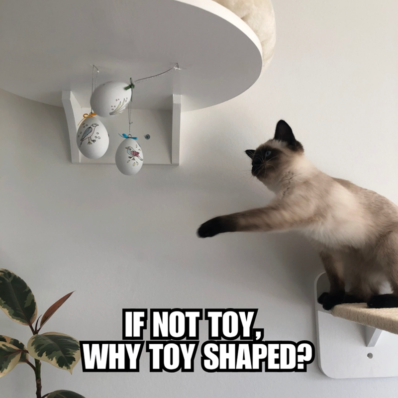 IF NOT TOY, WHY TOY SHAPED?