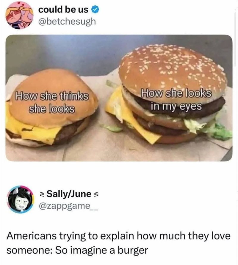 could be us @betchesugh How she thinks she looks How she looks in my eyes ≥ Sally/June ≤ @zappgame Americans trying to explain how much they love someone: So imagine a burger
