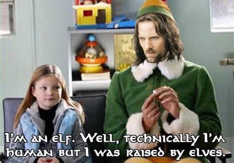 I'M AN ELF. WELL, Technically I'm HUMAN BUT 1 was Raised Bу ELVES.