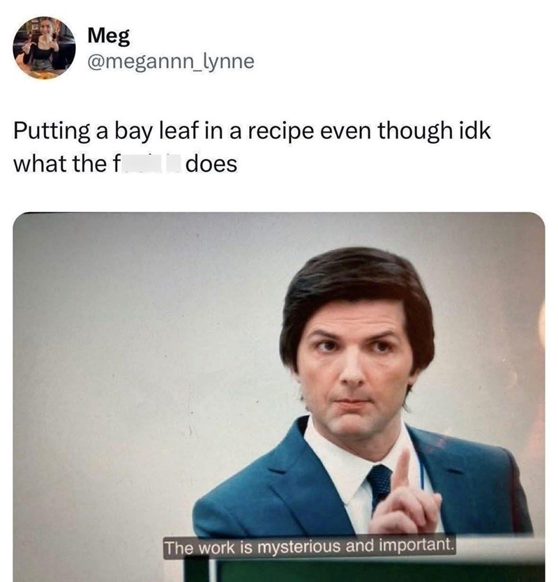 Meg @megannn_lynne Putting a bay leaf in a recipe even though idk what the f does The work is mysterious and important.