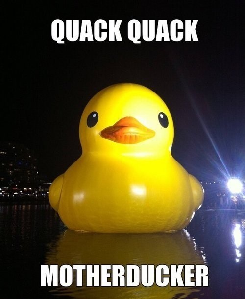 QUACK QUACK MOTHERDUCKER