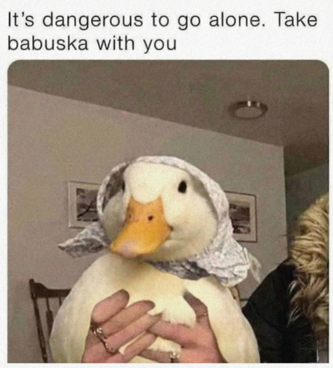 Cheezburger Image 10626782208