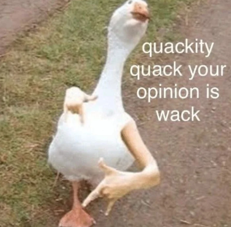 quackity quack your opinion is wack