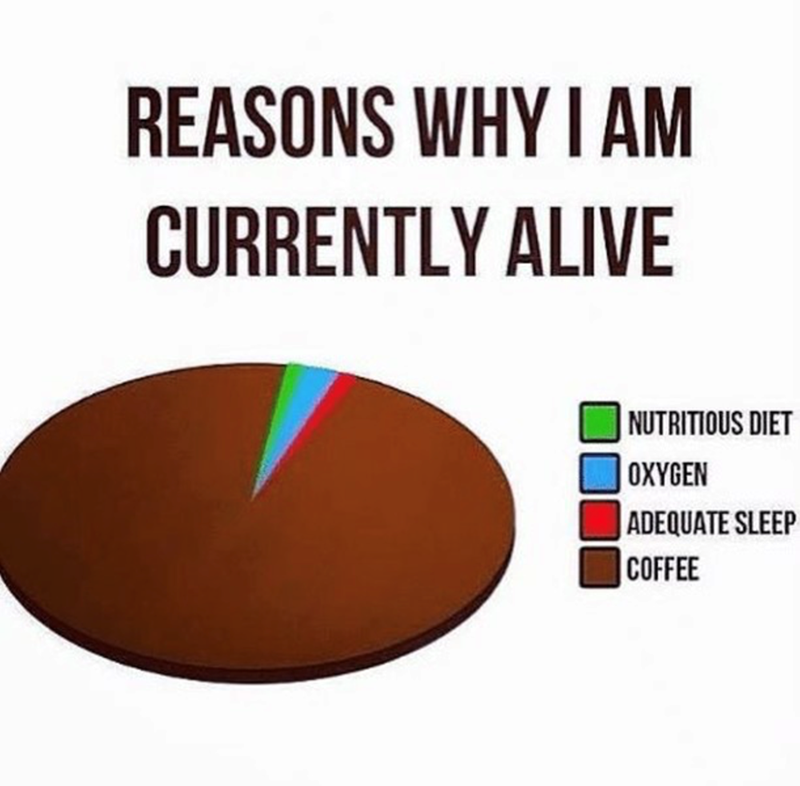 REASONS WHY I AM CURRENTLY ALIVE NUTRITIOUS DIET OXYGEN ADEQUATE SLEEP COFFEE