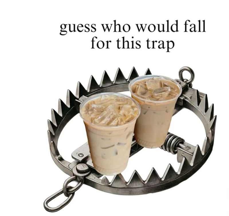 guess who would fall for this trap