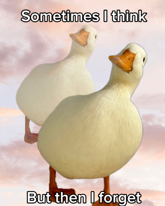 Sometimes I think But then I forget