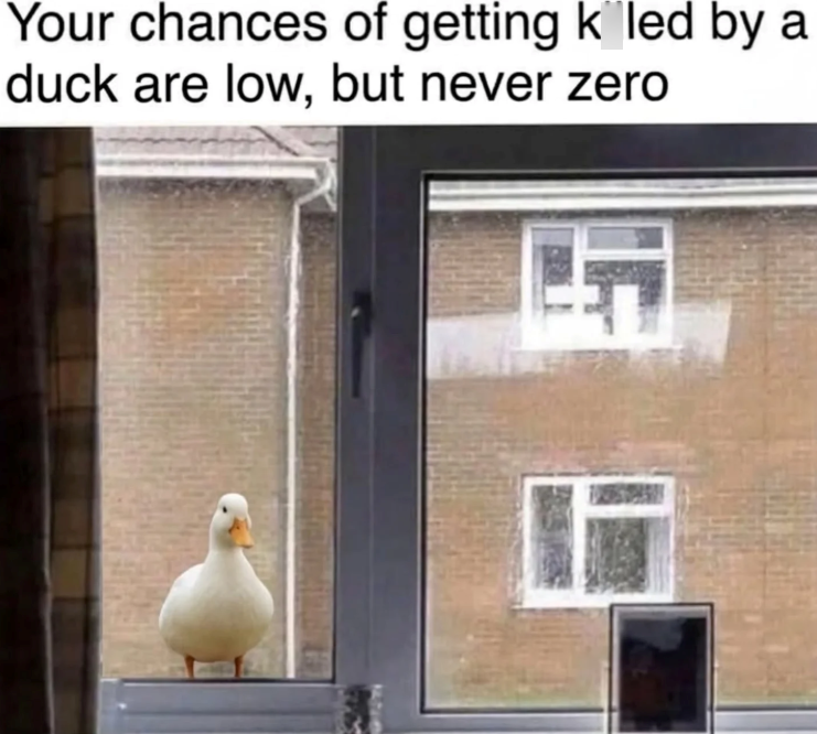 Your chances of getting k led by a duck are low, but never zero