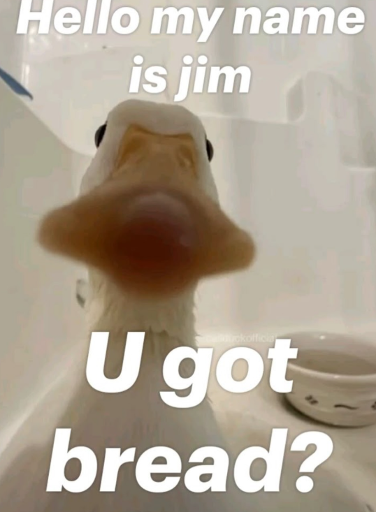 Hello my name is jim dickofficia U got bread?