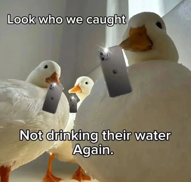 Look who we caught Not drinking their water Again.