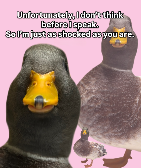 Unfortunately, I don't think before I speak. So I'm just as shocked as you are.