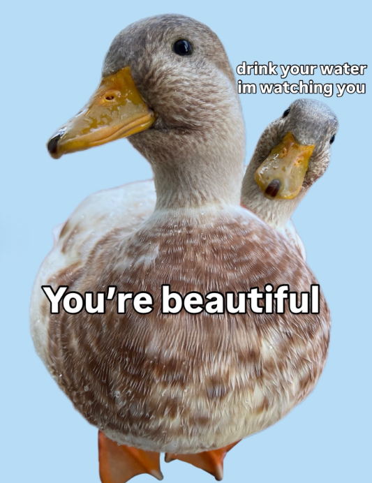 drink your water im watching you You're beautiful