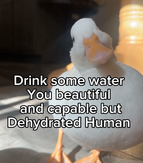 Drink some water You beautiful and capable but Dehydrated Human