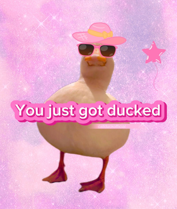 You just got ducked callduckofficial