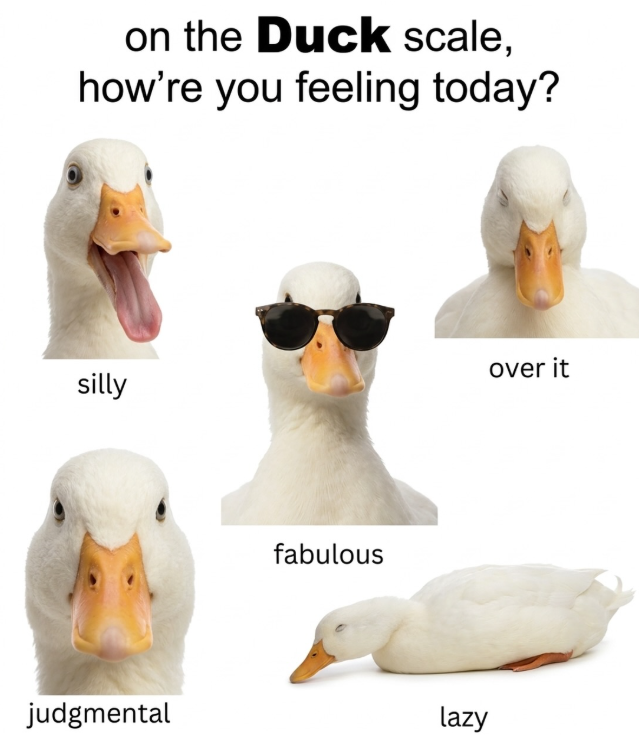on the Duck scale, how're you feeling today? silly judgmental fabulous lazy over it