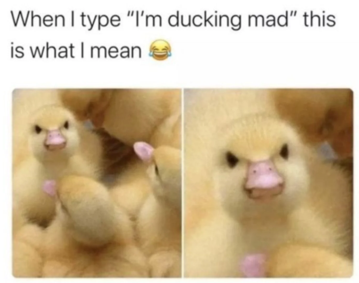 When I type "I'm ducking mad" this is what I mean