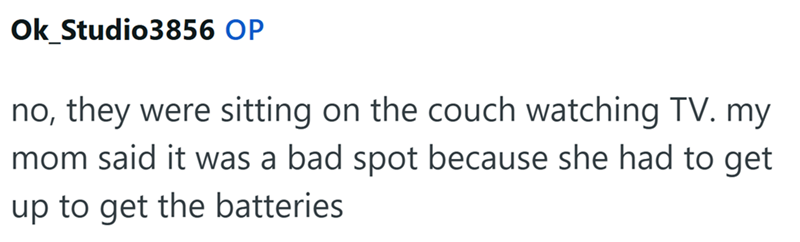 Ok Studio3856 OP no, they were sitting on the couch watching TV. my mom said it was a bad spot because she had to get up to get the batteries