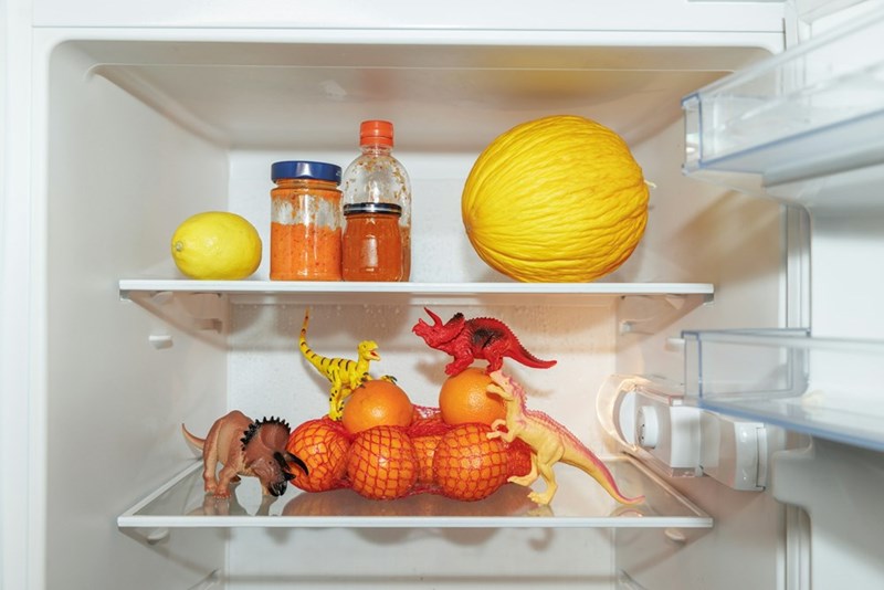 Open fridge with random items and toy dinosaurs on fruit, showing messy and unusual food storage situation