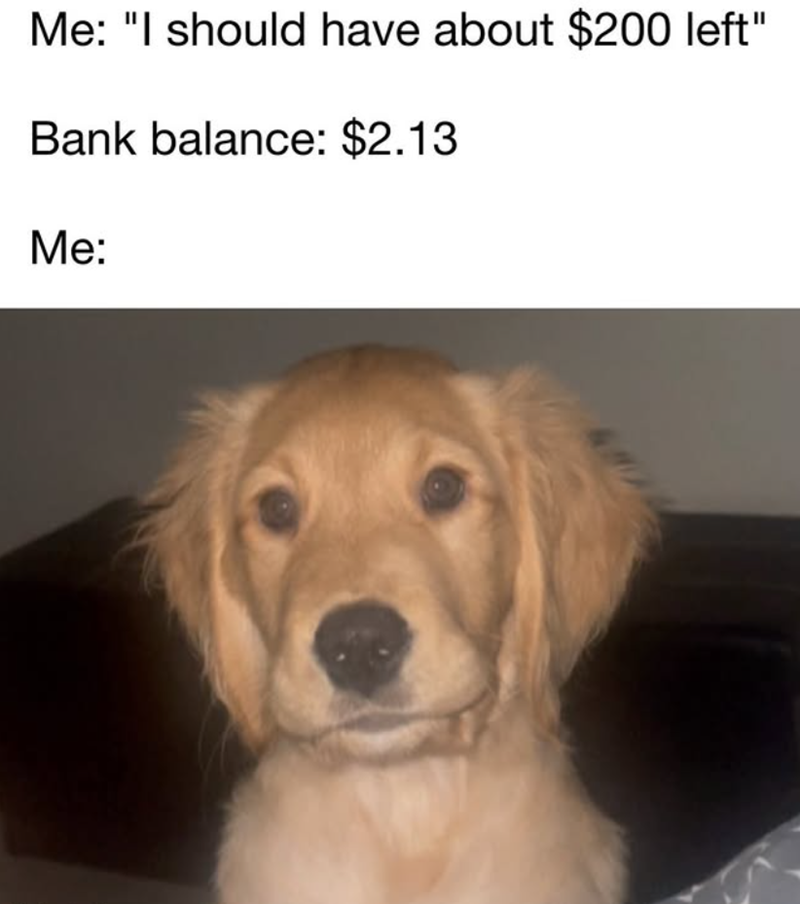 Me: "I should have about $200 left" Bank balance: $2.13 Me: